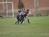 SONY DSC