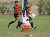 SONY DSC