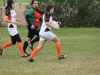 SONY DSC