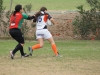 SONY DSC