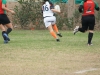 SONY DSC