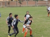 SONY DSC