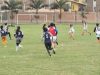 SONY DSC