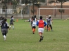 SONY DSC