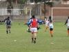 SONY DSC