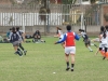 SONY DSC