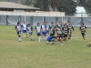 SONY DSC