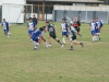 SONY DSC