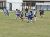SONY DSC
