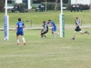 SONY DSC