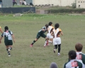 SONY DSC
