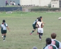 SONY DSC
