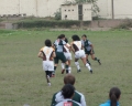 SONY DSC
