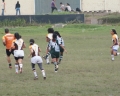 SONY DSC