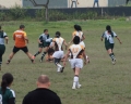 SONY DSC