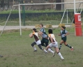 SONY DSC