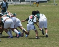 SONY DSC