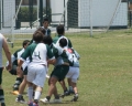 SONY DSC