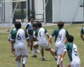SONY DSC