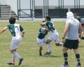 SONY DSC