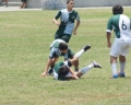 SONY DSC