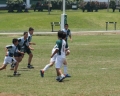 SONY DSC