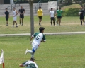 SONY DSC