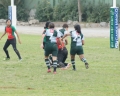 SONY DSC